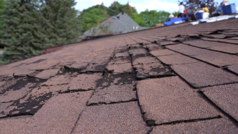 Best Green or Eco-Friendly Roofing Solutions  in Ephraim, UT